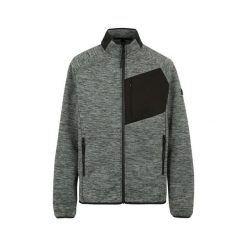 Polar zapinany na zamek błyskawiczny Regatta Salzance. Szare bluzy z polaru męskie Regatta, bez wzorów, z polaru, sportowe, bez ramiączek, bez kaptura. W wyprzedaży za 284.05 zł.