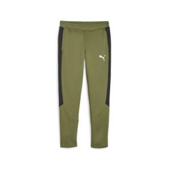 Spodnie Puma Evostripe Dk. Zielone spodnie dresowe męskie Puma, bez wzorów, z dresówki. Za 182.99 zł.