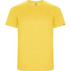 Męska Koszulka Sportowa Imola Z Krótkim Rękawem. Żółte t-shirty sportowe męskie ROLY, m, bez wzorów, sportowe, bez ramiączek. Za 33.99 zł.
