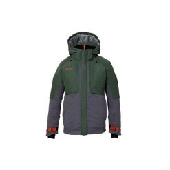 Kurtka narciarska męska Phenix Alpine Active Gtx. Zielone kurtki narciarskie i snowboardowe męskie Phenix, na zimę, l, bez wzorów, z poliesteru, bez kaptura, narciarskie. Za 1,234.00 zł.
