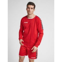 Bluza Hummel hmlAUTHENTIC Training. Czerwone bluzy nierozpinane męskie HUMMEL, m, bez wzorów, eleganckie, bez ramiączek, bez kaptura. W wyprzedaży za 169.50 zł.