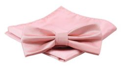 Mucha Męska z Poszetką, Pudrowa, Różowa Jednokolorowa w Drobny Prążek -ALTIES. Czerwone krawaty i muchy męskie Alties, bez wzorów, eleganckie. Za 54.00 zł.