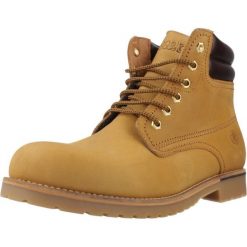 Buty CORONEL TAPIOCCA C317 26 Żółty. Żółte buty trekkingowe męskie CORONEL TAPIOCA, bez wzorów, ze skóry, bez zapięcia. Za 429.37 zł.