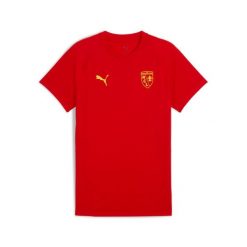 Koszulka Puma RCL Evostripe. Czerwone t-shirty sportowe męskie Puma, bez wzorów, sportowe, bez ramiączek. Za 214.50 zł.