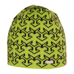 Viking Czapka męska Holman limonkowo-czarna (2100055UNI). Czapki męskie marki Viking. Za 45.97 zł.