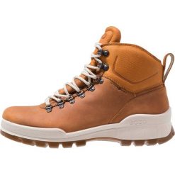 Ecco TRACK 25 Buty trekkingowe brown. Buty trekkingowe męskie ecco. Za 849.00 zł.