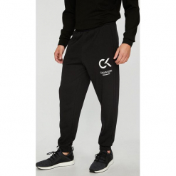 Calvin Klein Performance - Spodnie. Szare spodnie dresowe męskie marki Calvin Klein Performance, z bawełny. Za 269.90 zł.