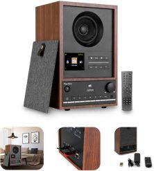 Radio internetowe DAB+/FM BT WIFI Canzo Audizio ciemne drewno one size. Radia fonestar. Za 906.23 zł.