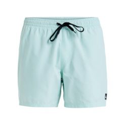 Szorty kąpielowe dla Mężczyzn EVERYDAY SOLID VOLLEY 15" Zielony. Zielone kąpielówki męskie Quiksilver, bez wzorów, z materiału, sportowe. Za 139.99 zł.