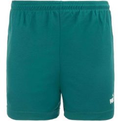 Męskie Szorty Sportowe PUMA 2XL - Oddychający i Elastyczny Design. Fioletowe szorty sportowe męskie Puma, bez wzorów, sportowe. Za 138.99 zł.