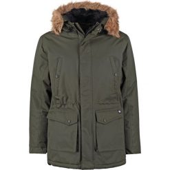 Dickies CURTIS Kurtka zimowa olive green. Kurtki męskie Dickies. Za 509.00 zł.