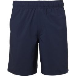 Oakley Ace Volley 18 Fathom M. Szorty sportowe męskie marki Oakley. W wyprzedaży za 125.00 zł.